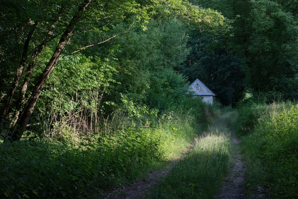 Léto v jihomoravských&nbsp;luzích