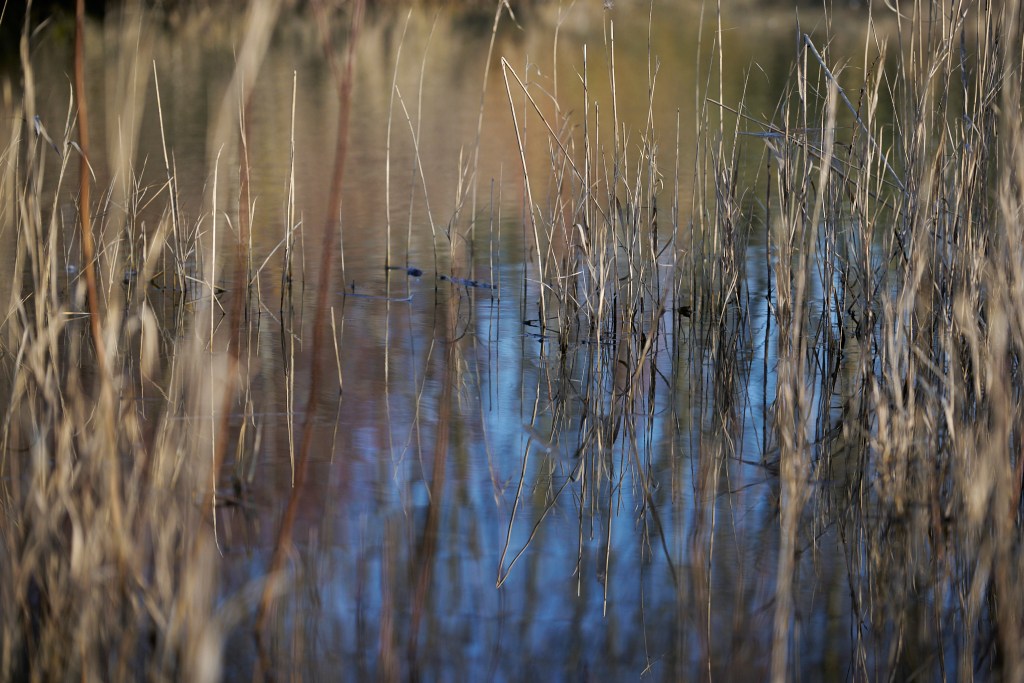 Prodala jsem si objektiv, který ještě budu&nbsp;potřebovat?