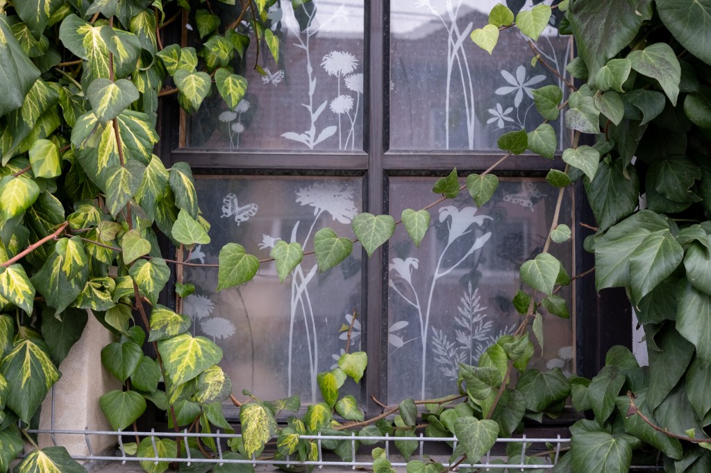 Moje cesta pokračuje