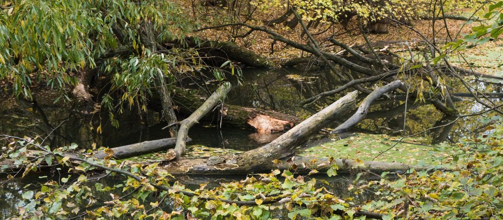 Barevný podzim a návrat do&nbsp;přírody